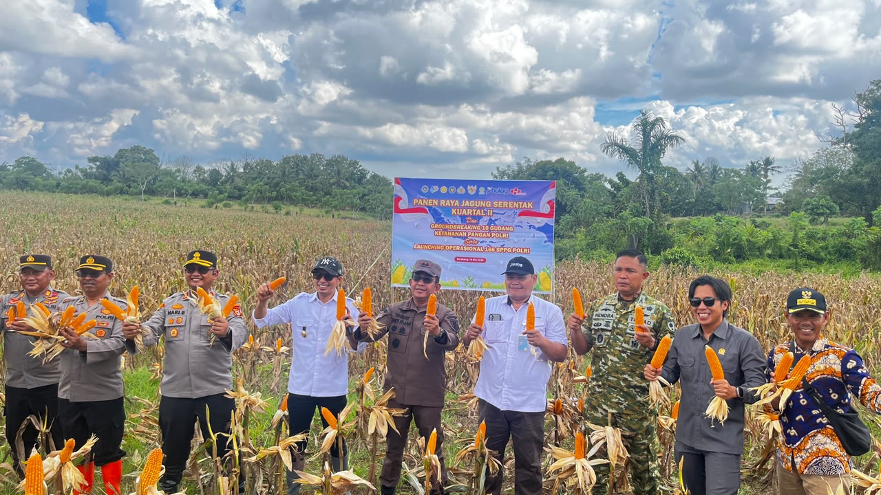 Kejaksaan Agung Dukung Panen Raya Jagung Serentak Kuartal II 2026 di Enrekang